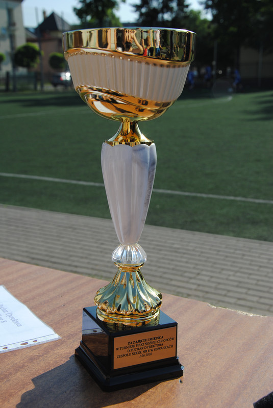 DSC 2011