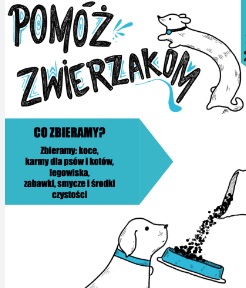 zwierzeta