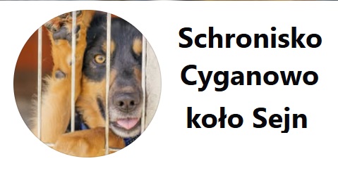Zrzut ekranu 2024-12-08 192434