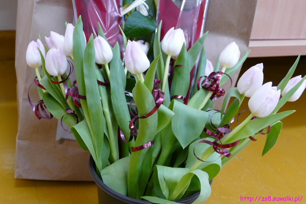 IS P1020653