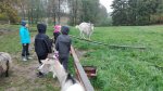 IMG_20161010_092435.jpg