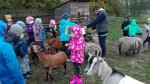 IMG_20161010_092527.jpg