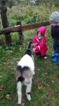IMG_20161010_092606.jpg
