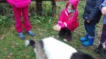 IMG_20161010_092615.jpg