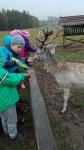 IMG_20161010_093315.jpg