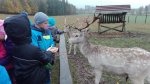 IMG_20161010_093329.jpg