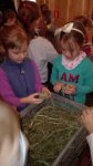 IMG_20161010_102729.jpg