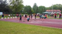 20150520_112532.jpg