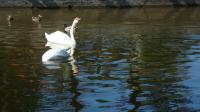 DSC05493.jpg