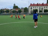 IMG-20240608-WA0001.jpg