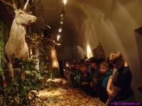 IS_DSC08757.jpg