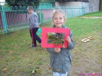 IS_DSC_0317.jpg