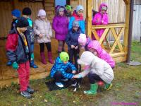 IS_DSC_0395.jpg
