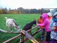 IS_DSC_0424.jpg