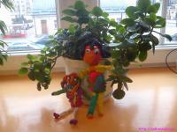 IS_DSC_0051.jpg
