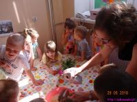 IS_DSC07338.jpg