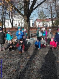 IS_IMG_20181030_123557.jpg