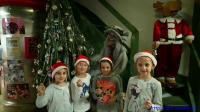 IS_DSC_0046.jpg