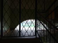 IMG_20210920_074207.jpg