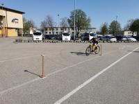 IMG_20230424_092550.jpg