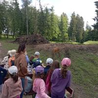IMG_20240614_095558.jpg