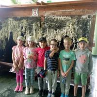 IMG_20240614_115242.jpg