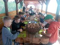 IMG_20240925_104552.jpg