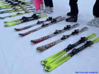 IS_17.jpg